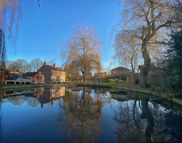 Haxby Pond with House in the Background